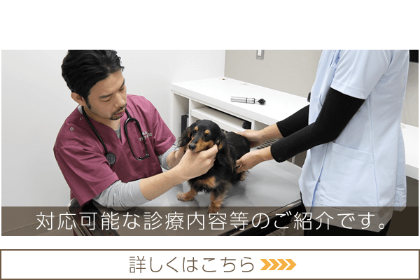 診療のご案内|当院で対応可能な診療内容のご紹介です。詳しくはこちら