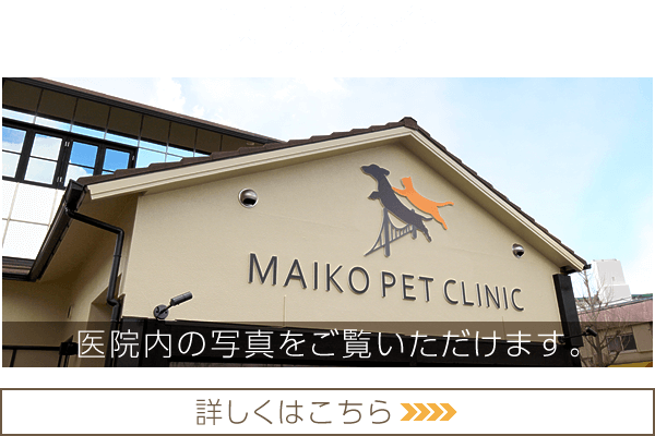 院内紹介|院内写真で当院の雰囲気をご確認ください。詳しくはこちら