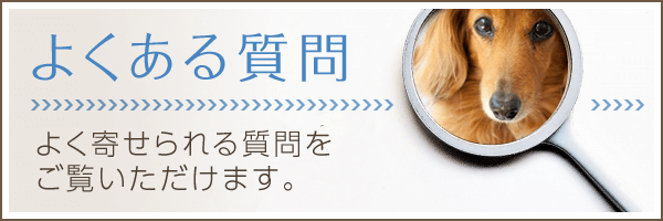 よくあるご質問|詳しくはこちら