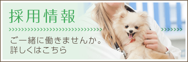 私達と一緒に働きませんか?採用情報|詳しくはこちら