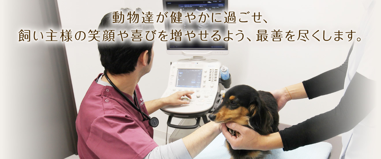 動物達が健やかに過ごせ、飼い主様の笑顔や喜びを増やせるよう、最善を尽くします。神戸市垂水区舞子の動物病院「舞子ペットクリニック」です。